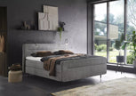 Boxspring Shark