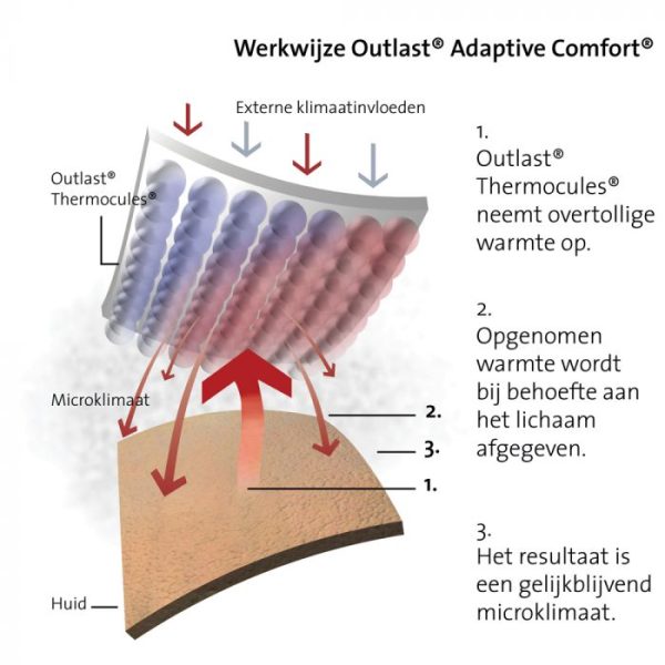 Hoofdkussen Zenzo