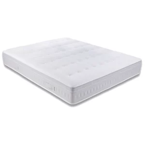 grand matras ralph klaassen 1 Rhino Hotel 30cm