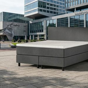 studen antra Boxspring Student